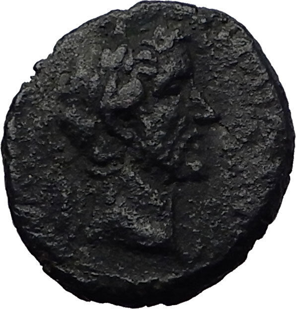 ANTONINUS PIUS 156AD Ascalon Judaea Phanebal Authentic Ancient Roman Coin i60601