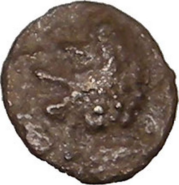 Hecatomnus Satrap of Caria 395BC Rare Ancient Greek Coin LION APOLLO i22399