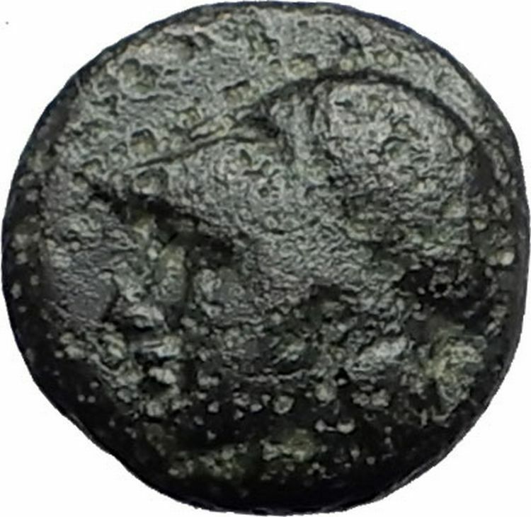 ELAIA in AEOLIS 340BC Athena Corn Grain Olive Branches Ancient Greek Coin i59681