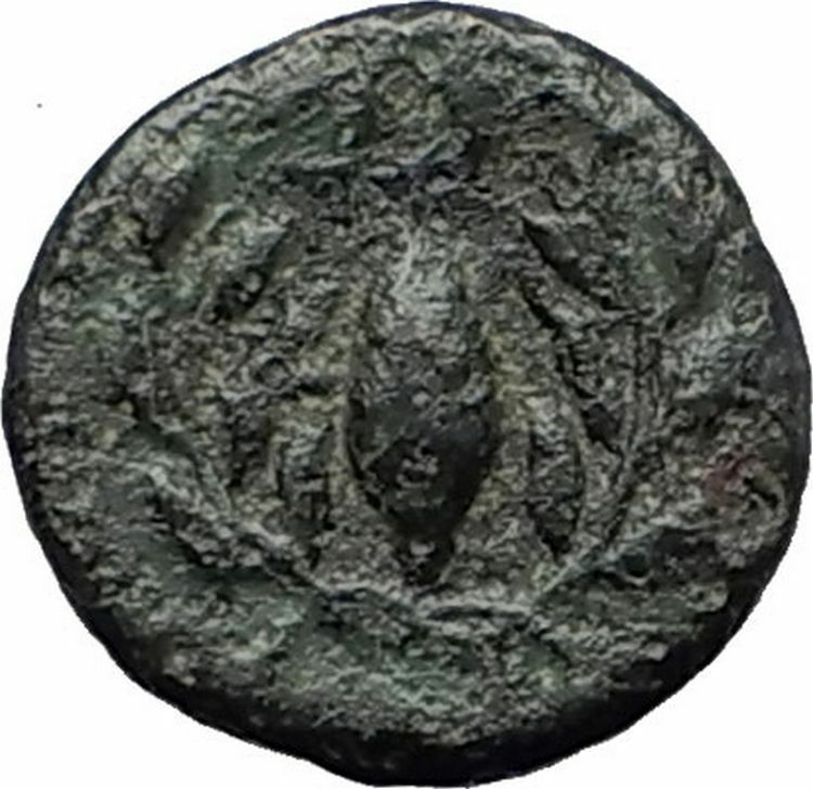 ELAIA in AEOLIS 340BC Athena Corn Grain Olive Branches Ancient Greek Coin i59681