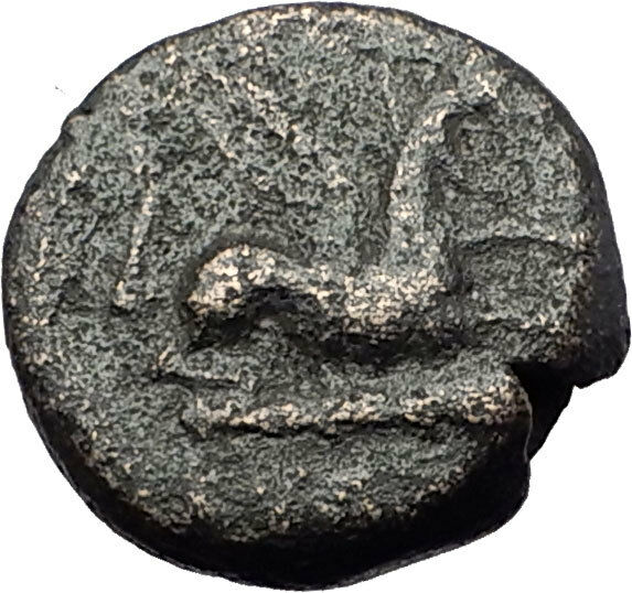 ABDERA THRACE Genuine 345BC Authentic Ancient Greek Coin GRIFFIN & APOLLO i60850