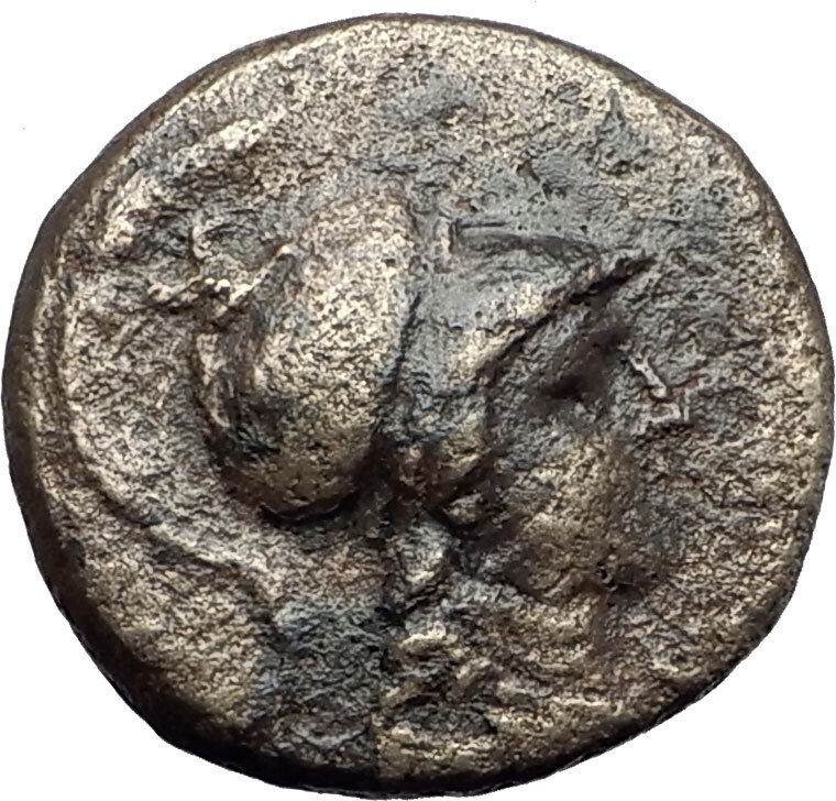 APAMEIA PHRYGIA 88BC Athena Gemini Caps Eagle Original Ancient Greek Coin i60010