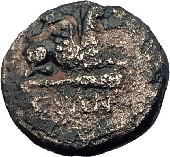 ABDERA THRACE - Genuine 345BC Apollo Griffin Authentic Ancient Greek Coin i61421