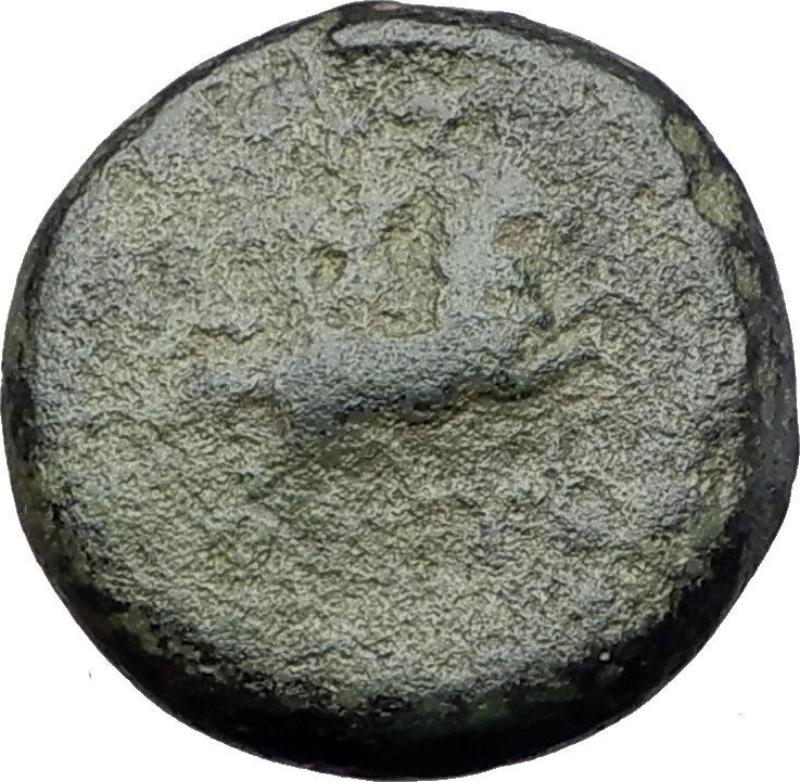 MARONEIA in THRACE 189BC RARE Authentic Ancient Greek Coin HERCULES HORSE i61305