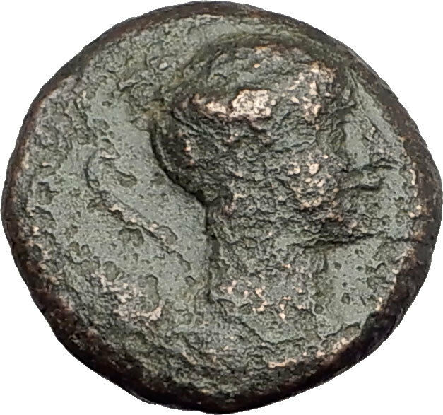 AMPHIPOLIS in MACEDONIA 1stCenBC RARE R1 Ancient Greek Coin ARTEMIS BULL i62506