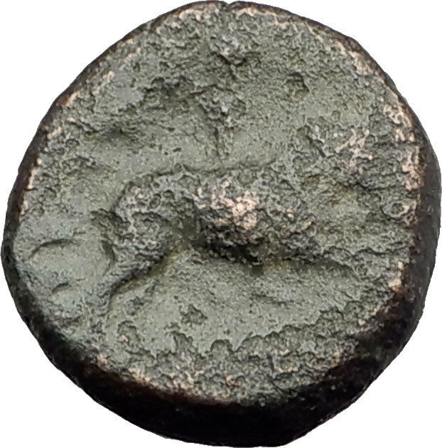 AMPHIPOLIS in MACEDONIA 1stCenBC RARE R1 Ancient Greek Coin ARTEMIS BULL i62506