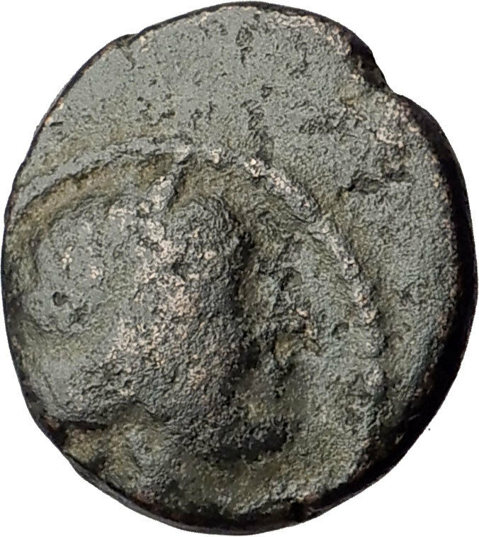 AMPHIPOLIS in MACEDONIA 1stCenBC RARE R1 Ancient Greek Coin ARTEMIS BULL i62523