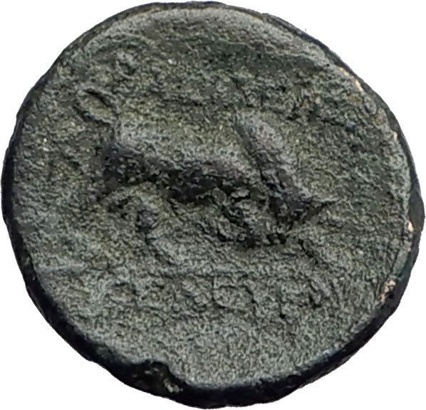 SELEUKOS I Nikator 312BC Genuine Ancient SELEUKID Greek Coin MEDUSA BULL i62681