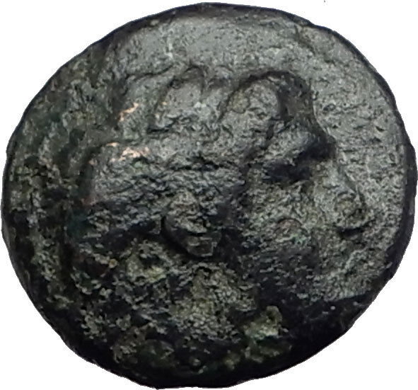 SELEUKOS I Nikator 312BC Genuine Ancient SELEUKID Greek Coin MEDUSA BULL i62681