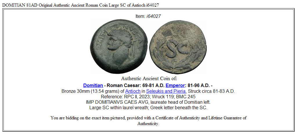 DOMITIAN 81AD Original Authentic Ancient Roman Coin Large SC of Antioch i64027