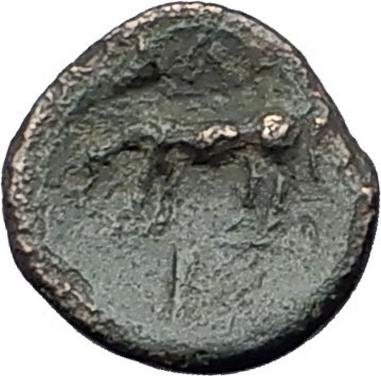 ALEXANDRIA TROAS 261BC Apollo Horse Rare Authentic Ancient Greek Coin i59651