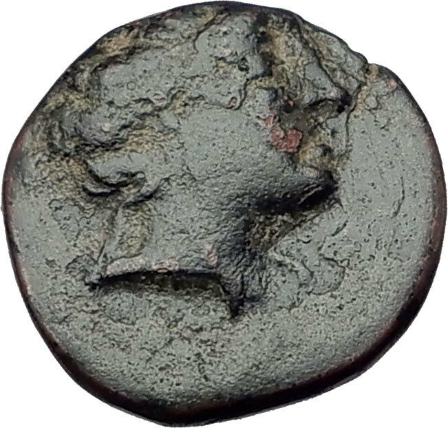 APAMEIA in PHRYGIA 300BC Rare Authentic Greek Coin Apollo MARSYAS Flutes i63645