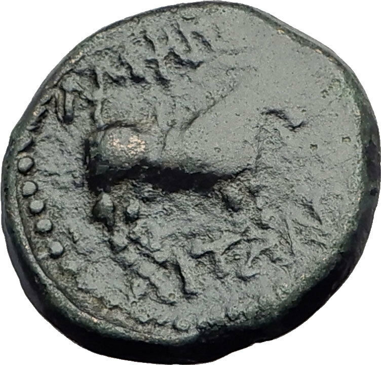 AMPHIPOLIS MACEDONIA 1CenBC RARE R1 Authentic Ancient Greek Coin DIONYSUS i63652