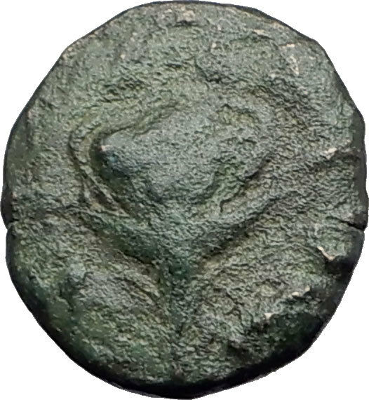 TRAGILOS in MACEDONIA 400BC Hermes Rose Authentic Ancient Greek Coin i63735