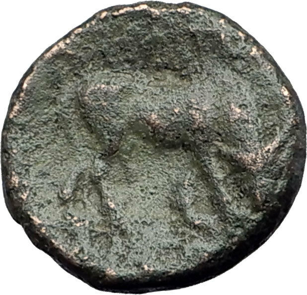 AMPHIPOLIS in MACEDONIA 148BC RARE R2 Ancient Greek Coin ATHENA BULL i63718