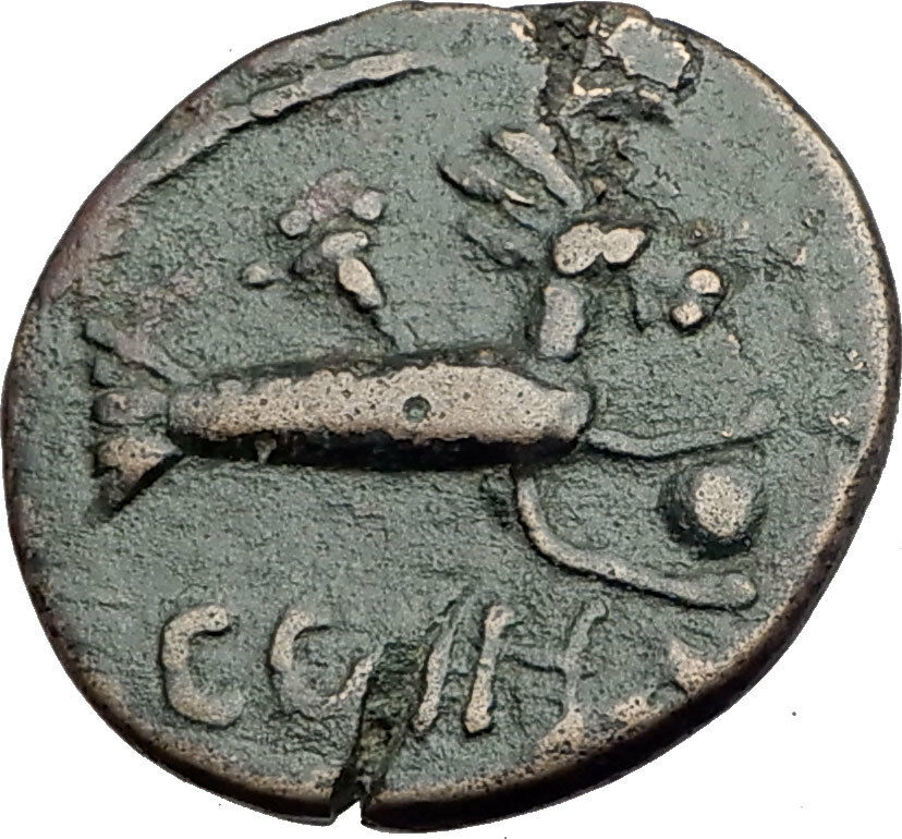 SEVERUS ALEXANDER 222AD Parium Parion Mysia Ancient Roman Coin CAPRICORN i64792