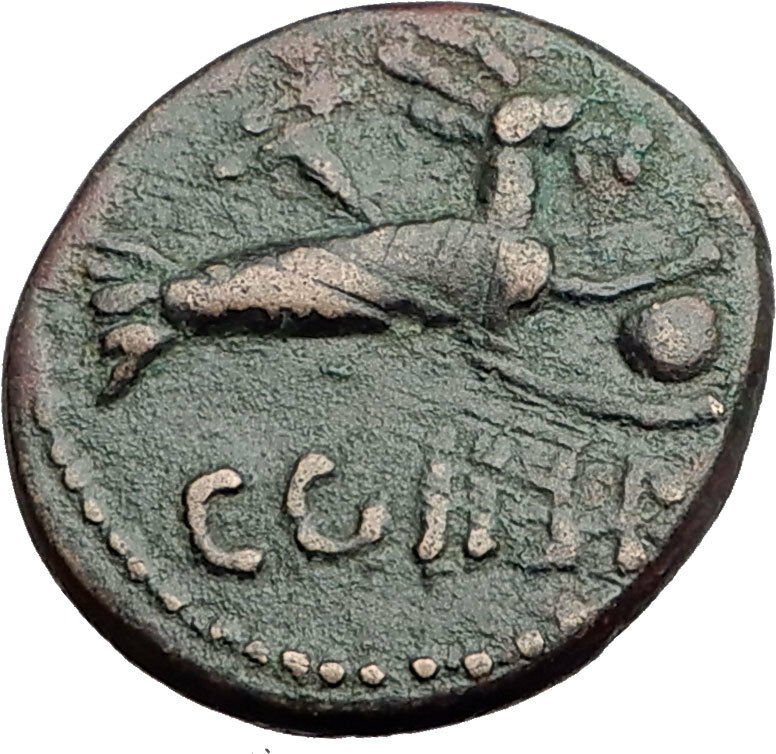 SEVERUS ALEXANDER 222AD Parium Parion Mysia Ancient Roman Coin CAPRICORN i64811