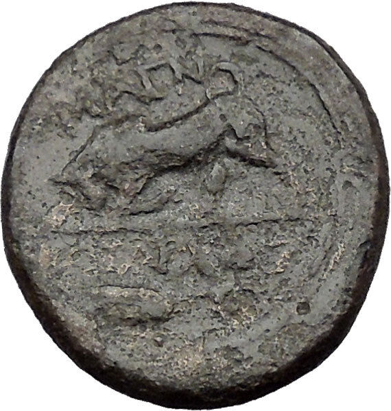 MAGNESIA ad Maeandrumj in IONIA 350BC Horse man Bull Ancient Greek Coin i31813