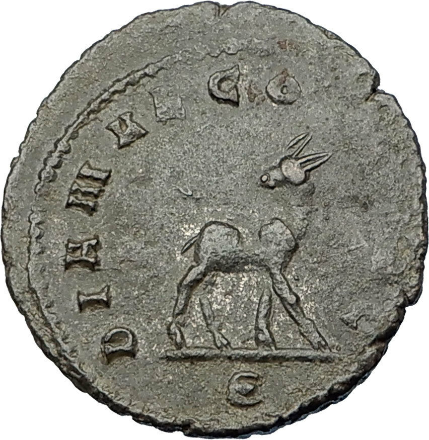 GALLIENUS son of Valerian I 267AD Authentic Ancient Roman Coin DEER i65644