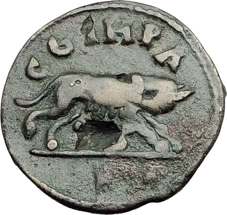 CARACALLA 198AD Parium Parion Mysia Authentic Ancient Roman Coin WOLF i65169