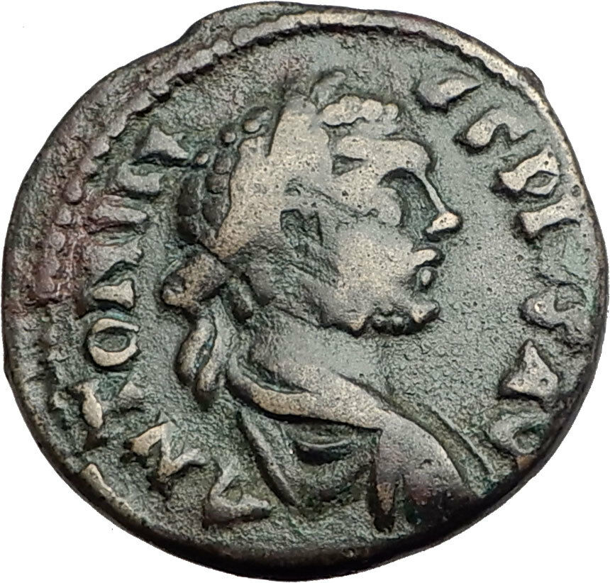 CARACALLA 198AD Parium Parion Mysia Authentic Ancient Roman Coin WOLF i65169