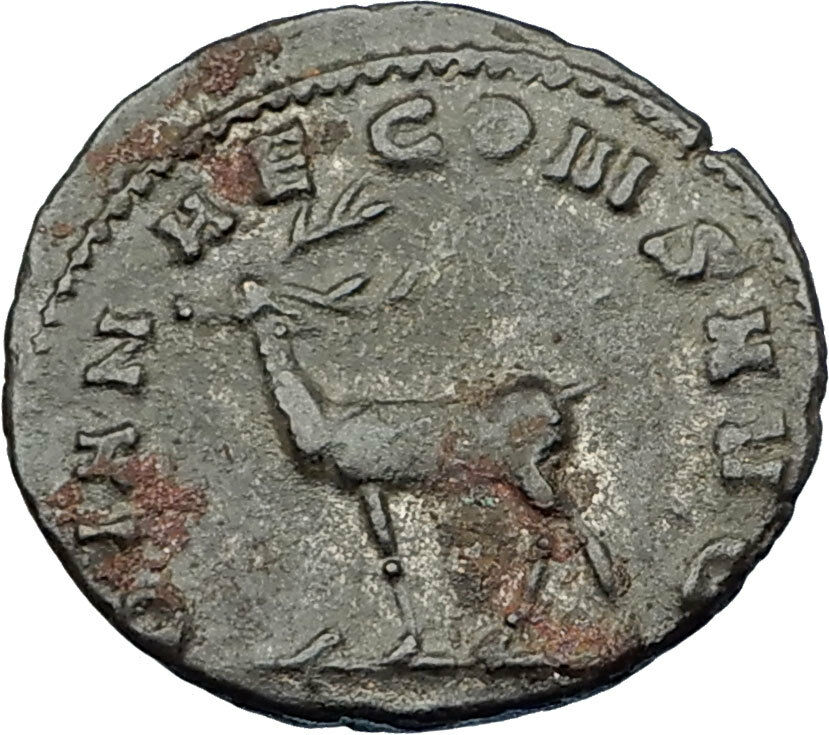 GALLIENUS son of Valerian I 253AD Authentic Ancient Roman Coin Antelope i65630