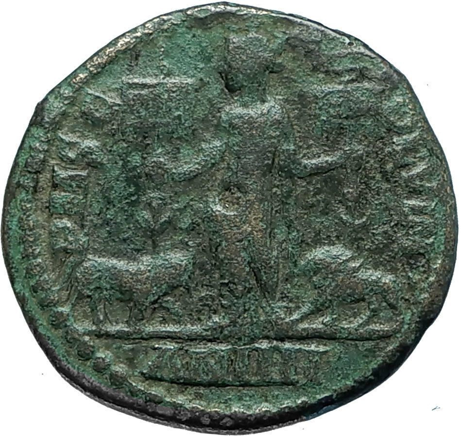 GORDIAN III 242AD Viminacium BULL & LION LEGIONS Ancient Roman Coin i66138