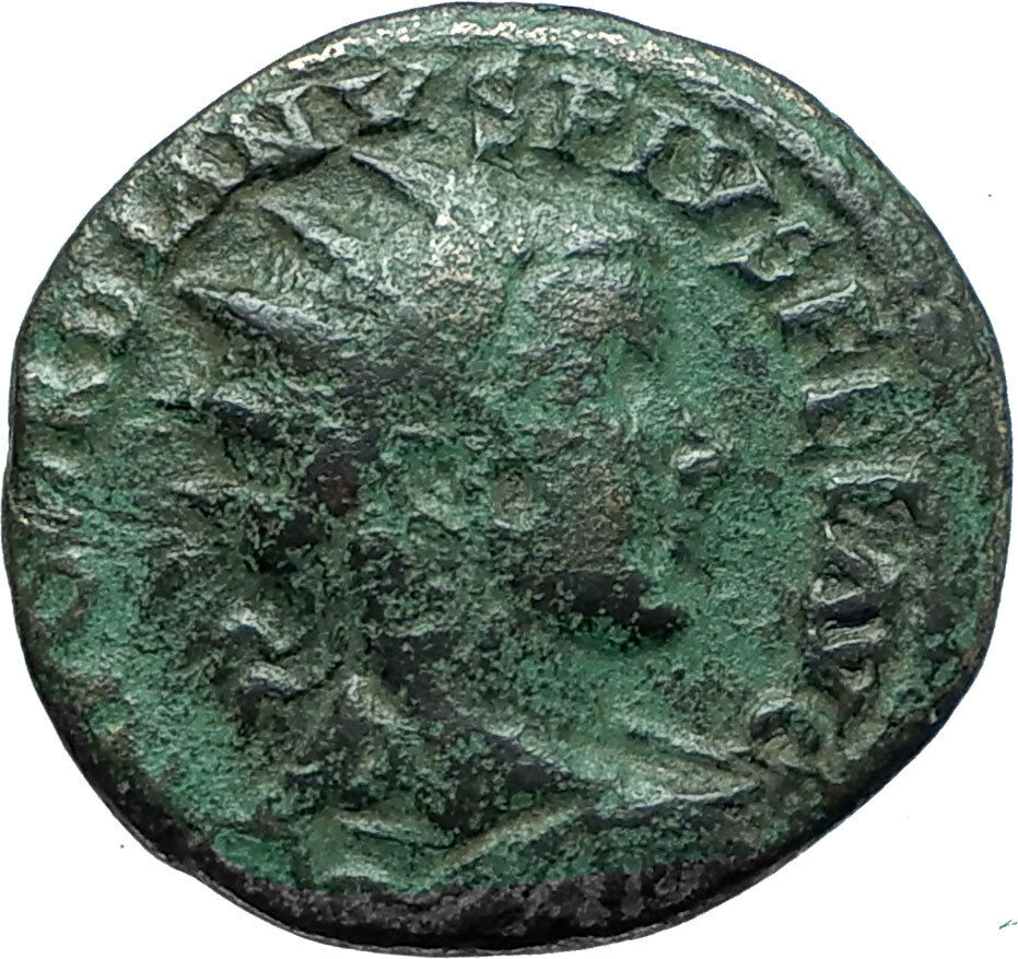 GORDIAN III 242AD Viminacium BULL & LION LEGIONS Ancient Roman Coin i66138