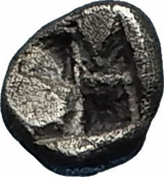 PHOKAIA in IONIA Rare Archaic 521BC Greek Silver Hemiobol Coin w GRIFFIN i66963