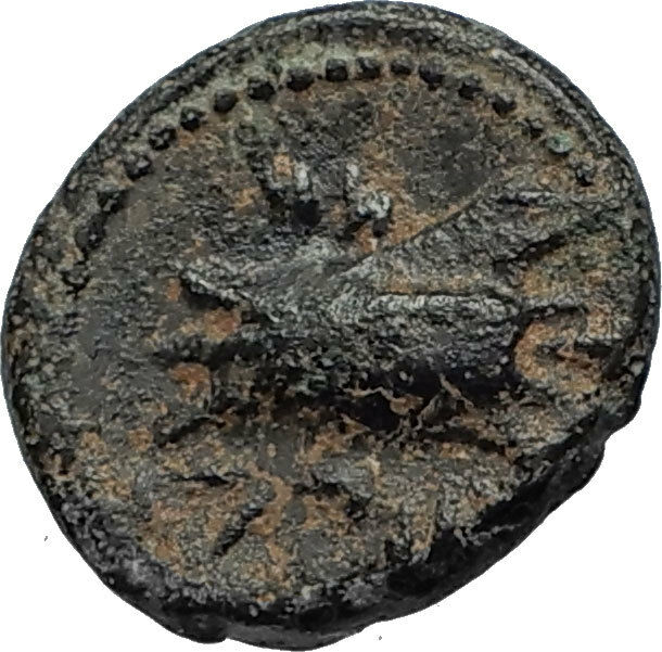 ARADOS in PHOENICIA Authentic Ancient 206BC Greek Coin w ZEUS & GALLEY i67466