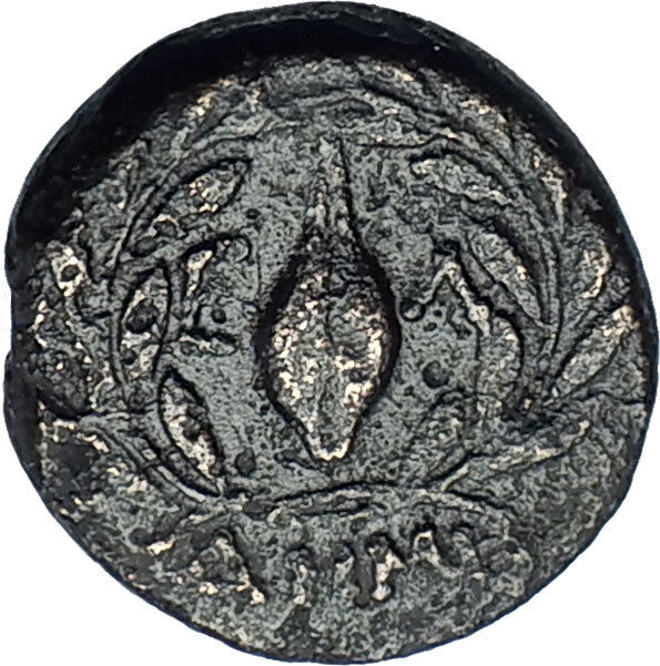 ELAIA in AEOLIS 350BC Authentic Ancient Greek Coin ATHENA Grain Wreath i68660