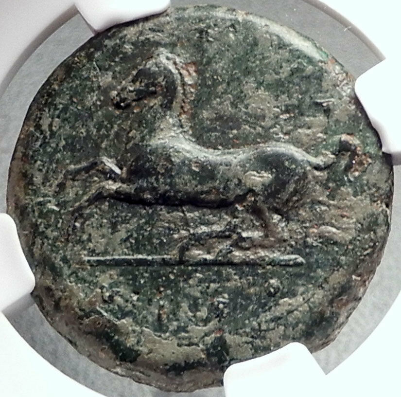 SYRACUSE in SICILY Timoleon Rule 343BC Ancient Greek Coin ZEUS HORSE NGC i68714