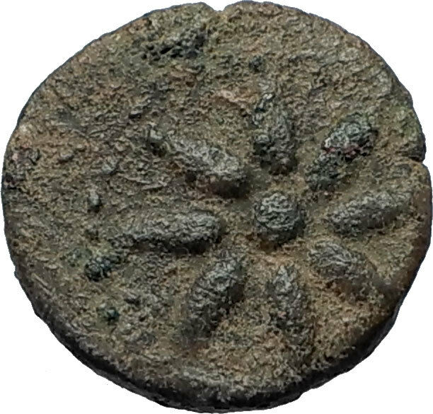 SOLOI as POMPEIOPOLIS in Cilicia 66BC Authentic Ancient Greek Coin GRAPES i67985