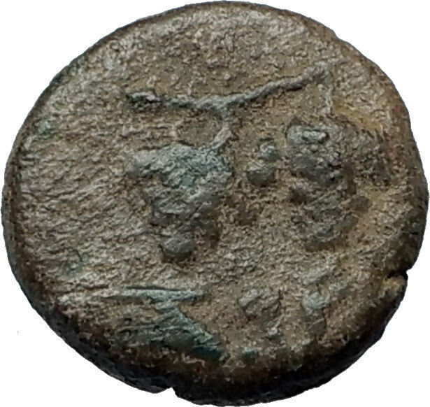 SOLOI as POMPEIOPOLIS in Cilicia 66BC Authentic Ancient Greek Coin GRAPES i67985