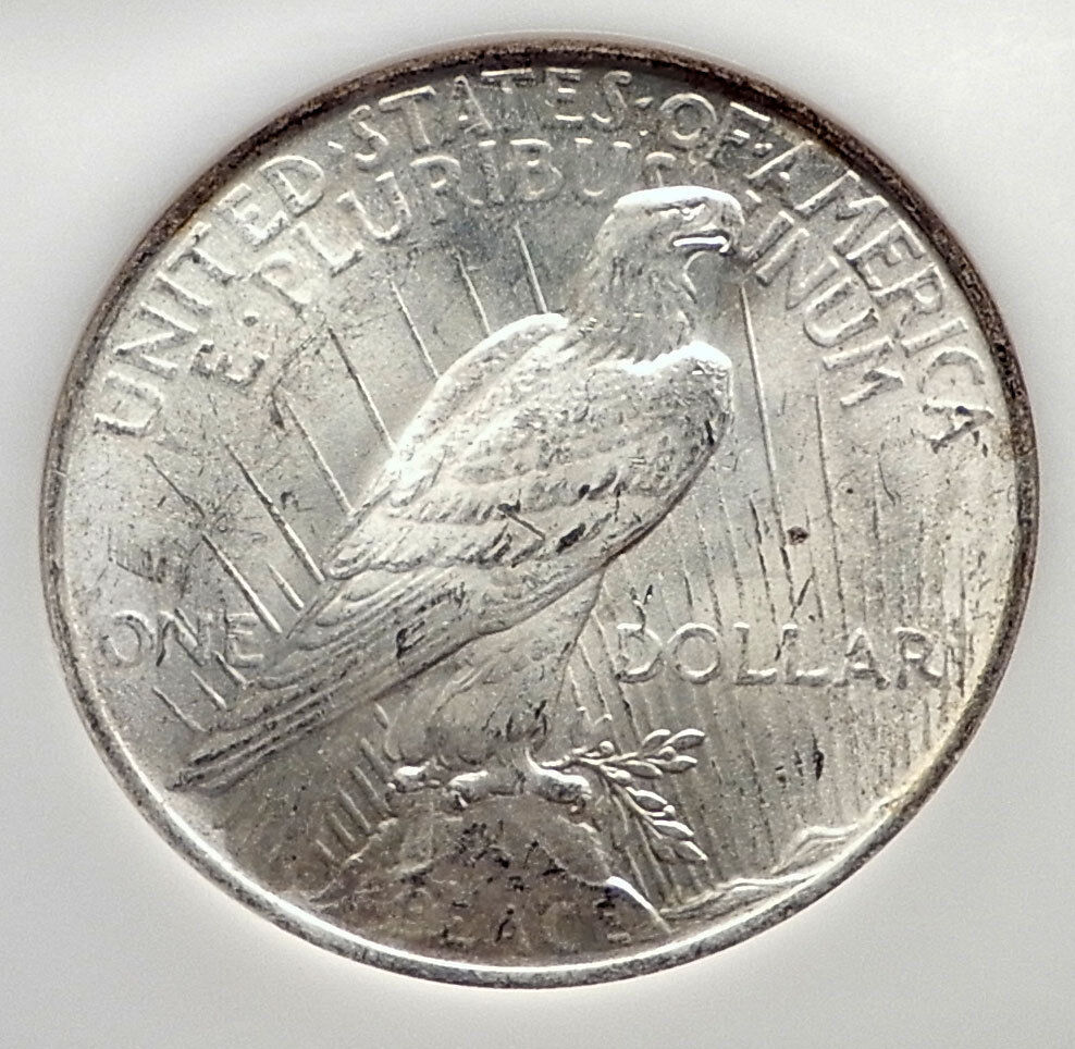 1923 US Silver PEACE DOLLAR Large United States Coin LIBERTY & EAGLE NGC i70567