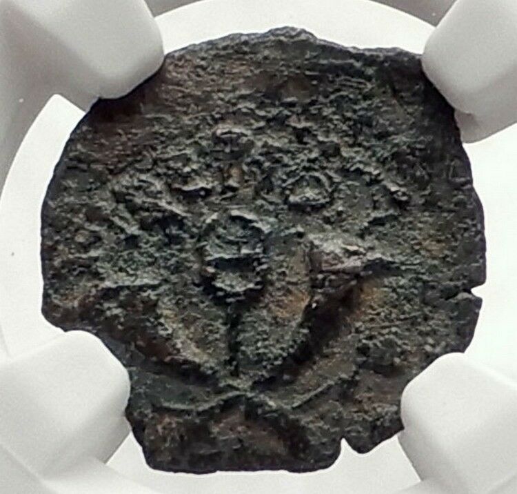 VALERIUS GRATUS 16AD Roman Jerusalem Prefect TIBERIUS Biblical Coin NGC i70836