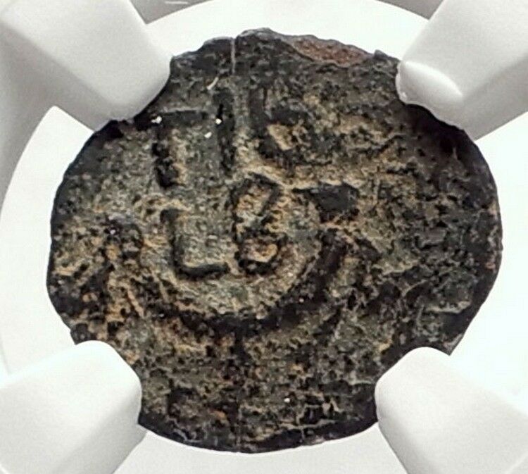 VALERIUS GRATUS 15AD TIBERIUS Prefect Roman Jerusalem Biblical Coin NGC i70837