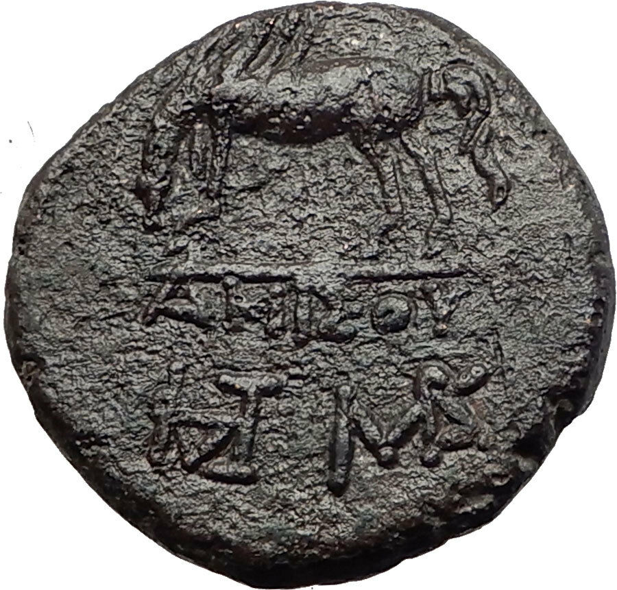 AMISOS in PONTUS MITHRADATES VI the GREAT Time Perseus Pegasus Greek Coin i60860