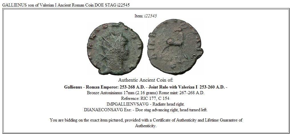 GALLIENUS son of Valerian I Ancient Roman Coin DOE STAG i22545