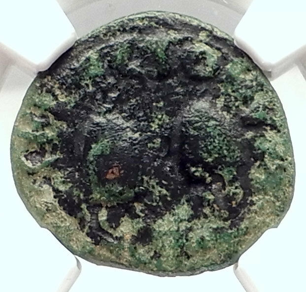 TYNDARIS in SICILY Authentic Ancient 44BC RARE R2 Greek Coin DOLPHIN NGC i72871