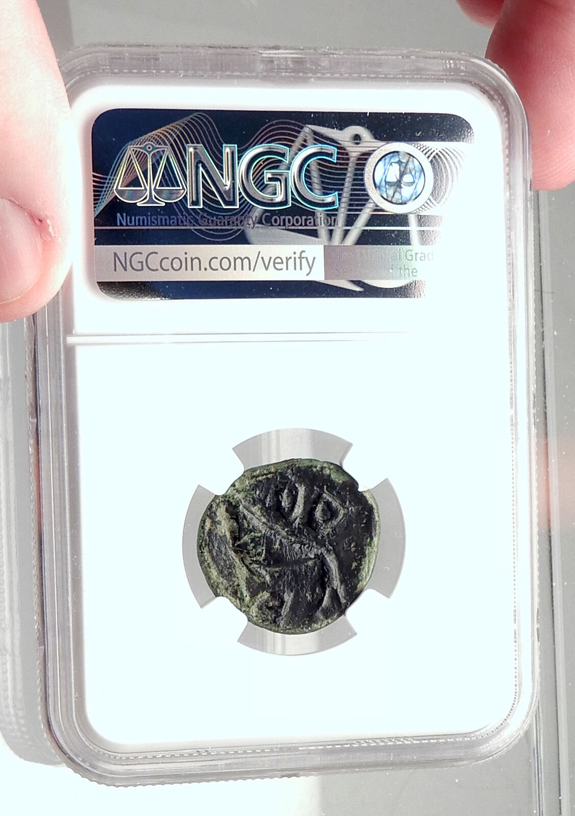 TYNDARIS in SICILY Authentic Ancient 44BC RARE R2 Greek Coin DOLPHIN NGC i72871