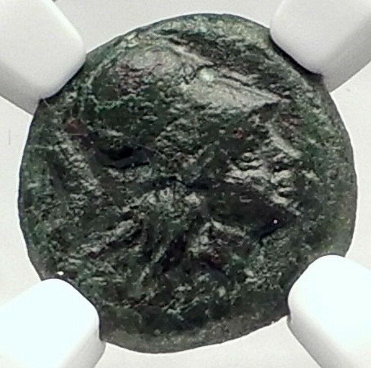 METAPONTION Metapontum in LUCANIA Ancient 300BC Greek Coin ATHENA NGC i72877