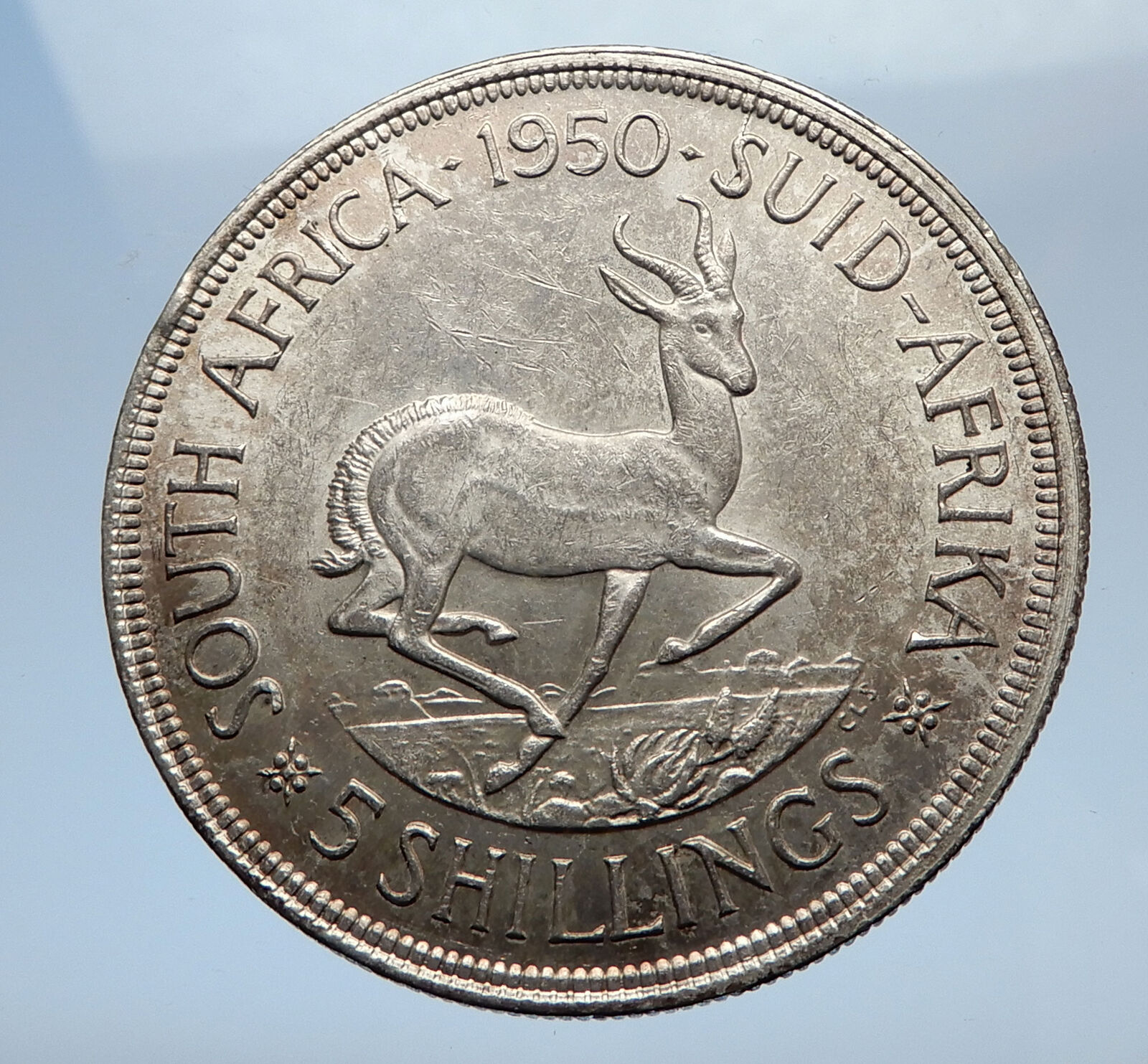 1950 SOUTH AFRICA Large Silver 5 Shillings Coin GEORGE VI SPRINGBOK Deer i69424