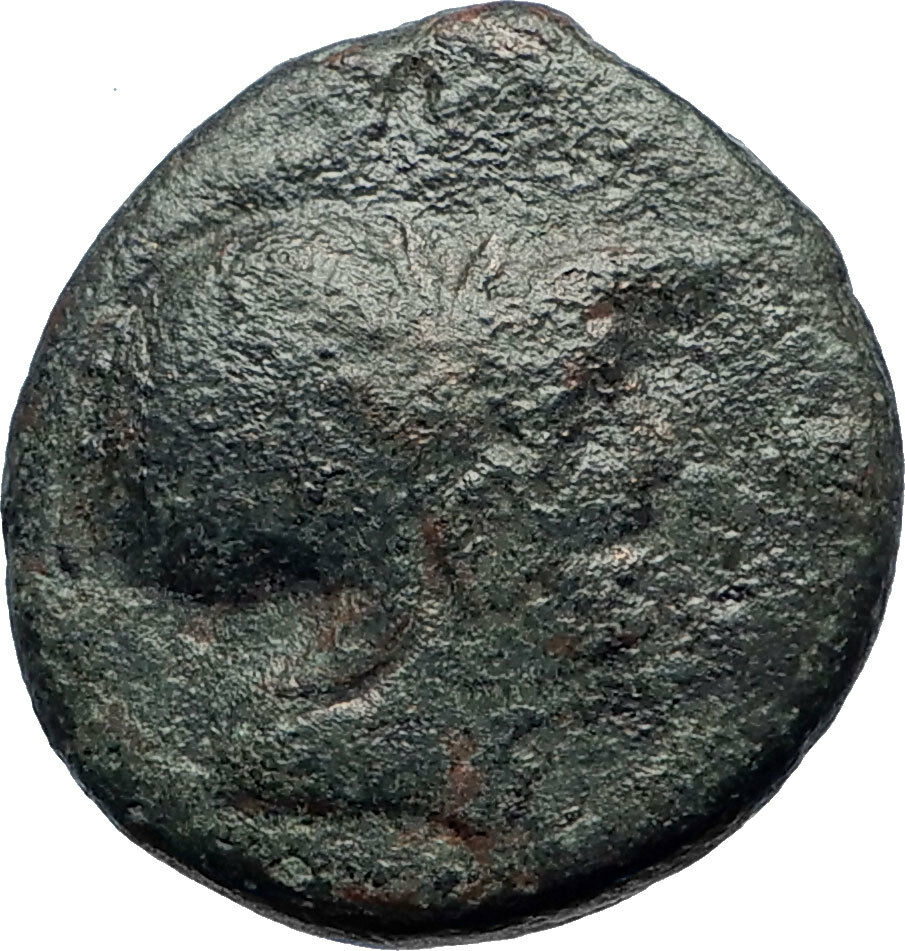 SYRACUSE in SICILY under Roman Rule after 212BC Greek Coin BULL SACRIFICE i73711