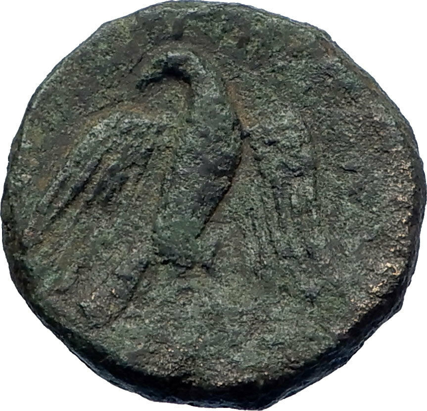 PANORMOS SICILY Roman Protectorate 190BC Ram Janus Eagle Greek Coin i73759