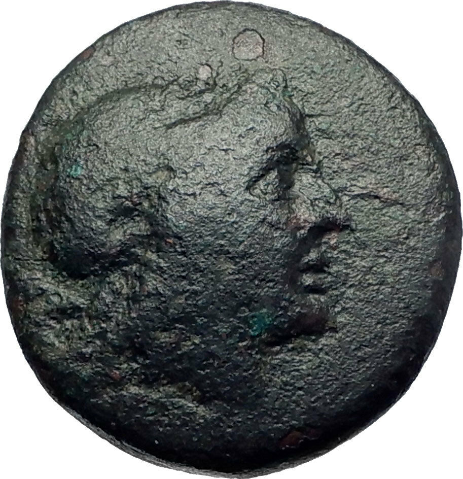 Megara in Megaris 307BC Very Rare Ancient Greek Coin Apollo Lyre i73995