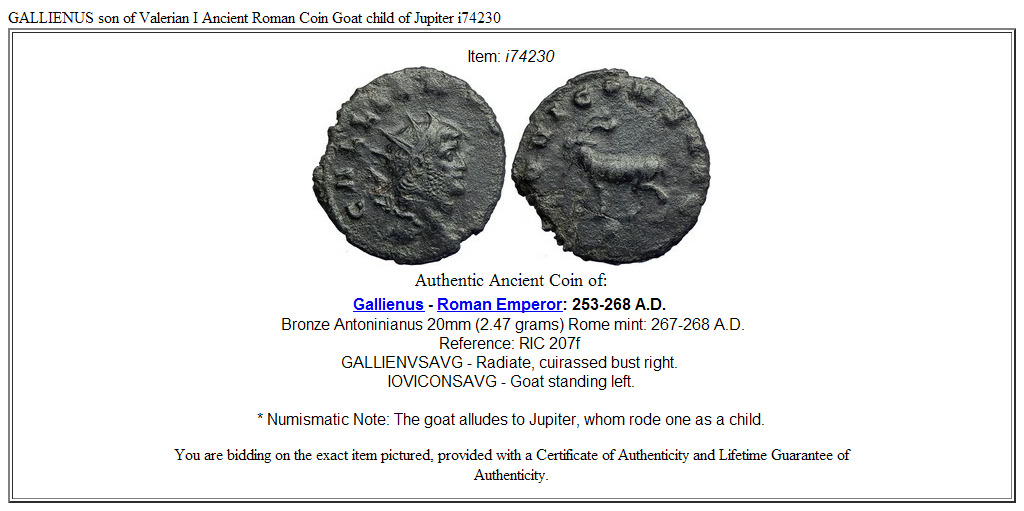 GALLIENUS son of Valerian I Ancient Roman Coin Goat child of Jupiter i74230