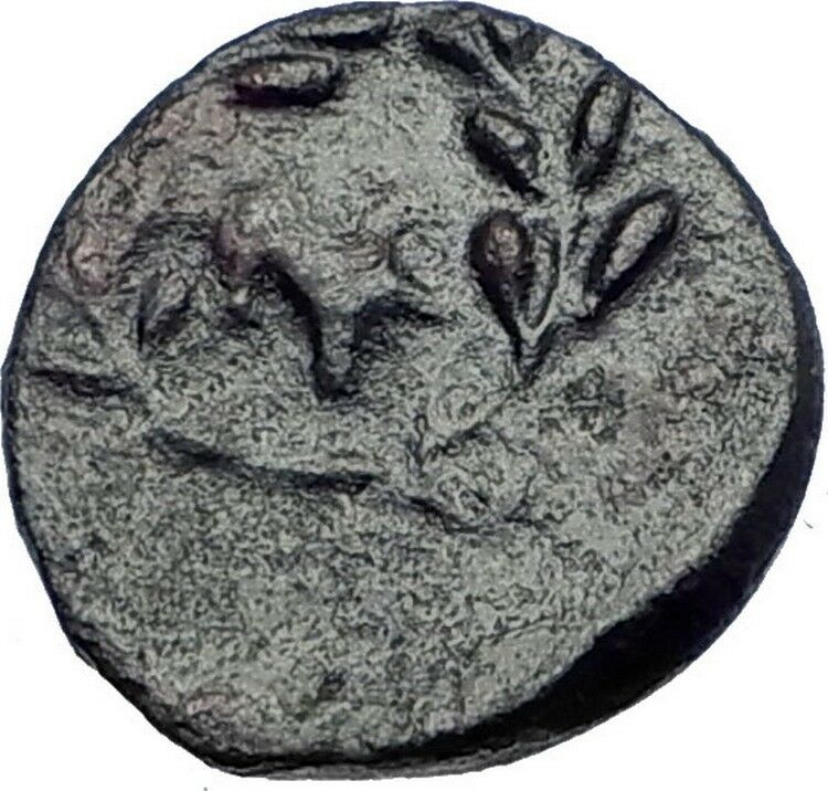 PHOKIS Central Greece AUTHENTIC Ancient 357BC Genuine Greek Coin BULL i74136