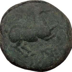 Maroneia in Thrace 400BC Original Ancient Greek Coin Horse Vine Grapes i37008