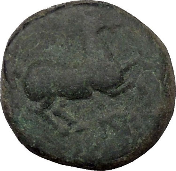 Maroneia in Thrace 400BC Original Ancient Greek Coin Horse Vine Grapes i37008